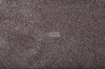 Ковролин Condor Bounty 92 фото 1 | FLOORDEALER